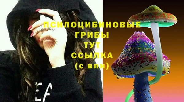 дурь Покров