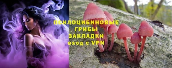 мдпв Покровск
