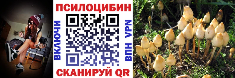 ОМГ ОМГ ССЫЛКА  Баймак  Псилоцибиновые грибы MAGIC MUSHROOMS 